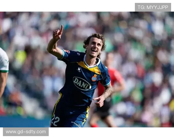 罗梅罗分析米尔言论 称希拉里愤怒必有缘由